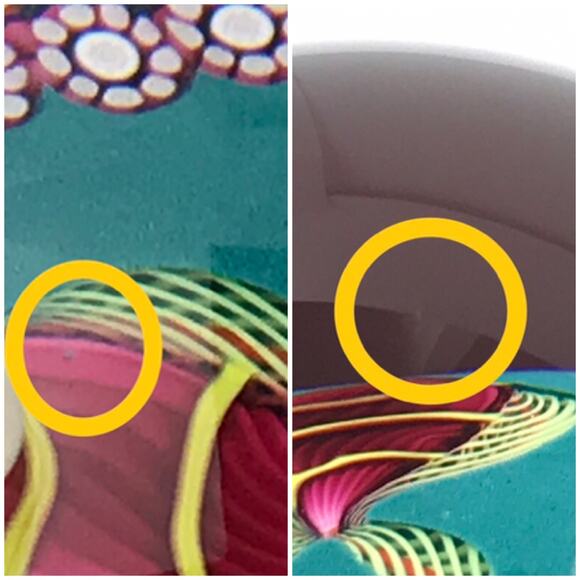 Perthshire Kissing Fish Millefiori Hexagon Twist Aquatic Lampwork SE Paperweight - Picture 15 of 15